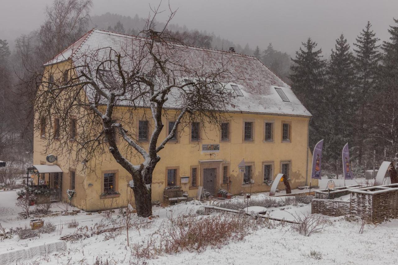 Holzwerk Oybin Lägenhet Exteriör bild